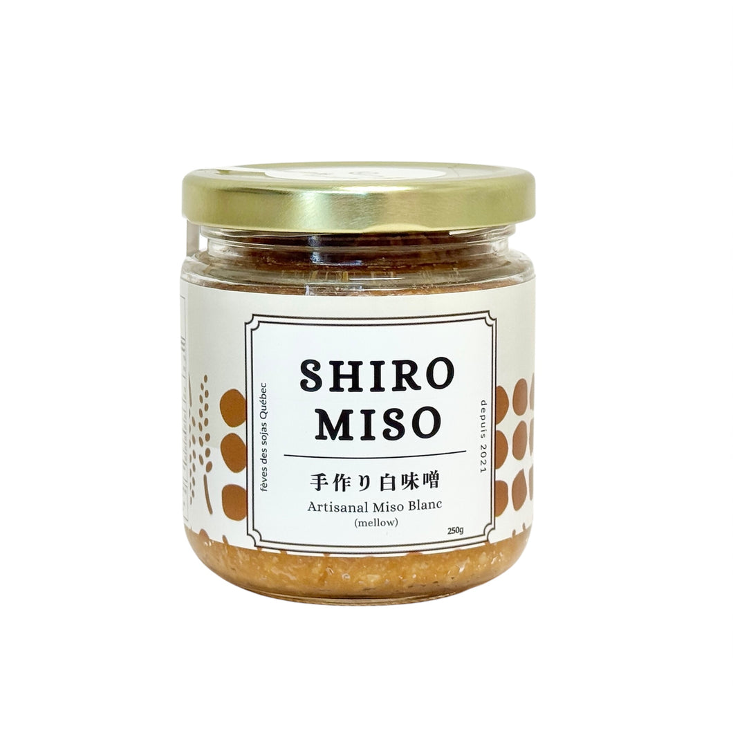 Artisanal Shiro Miso (white mellow miso)